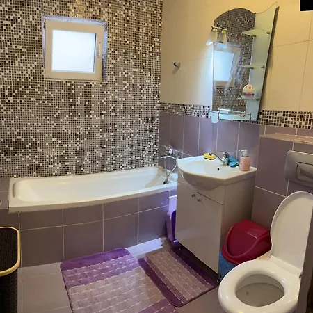 Apartament Mihaela Apartment *